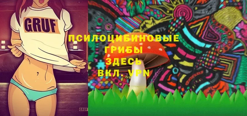 mega маркетплейс  Лабинск  Галлюциногенные грибы Cubensis 